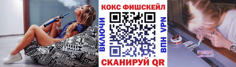 Cocaine FishScale  купить закладку  Курлово 